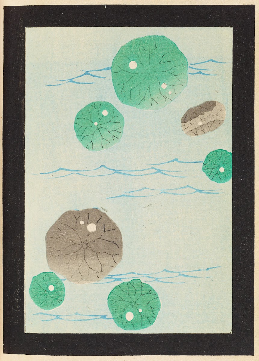 Shin Bijutsukai Pl476 1901 1902