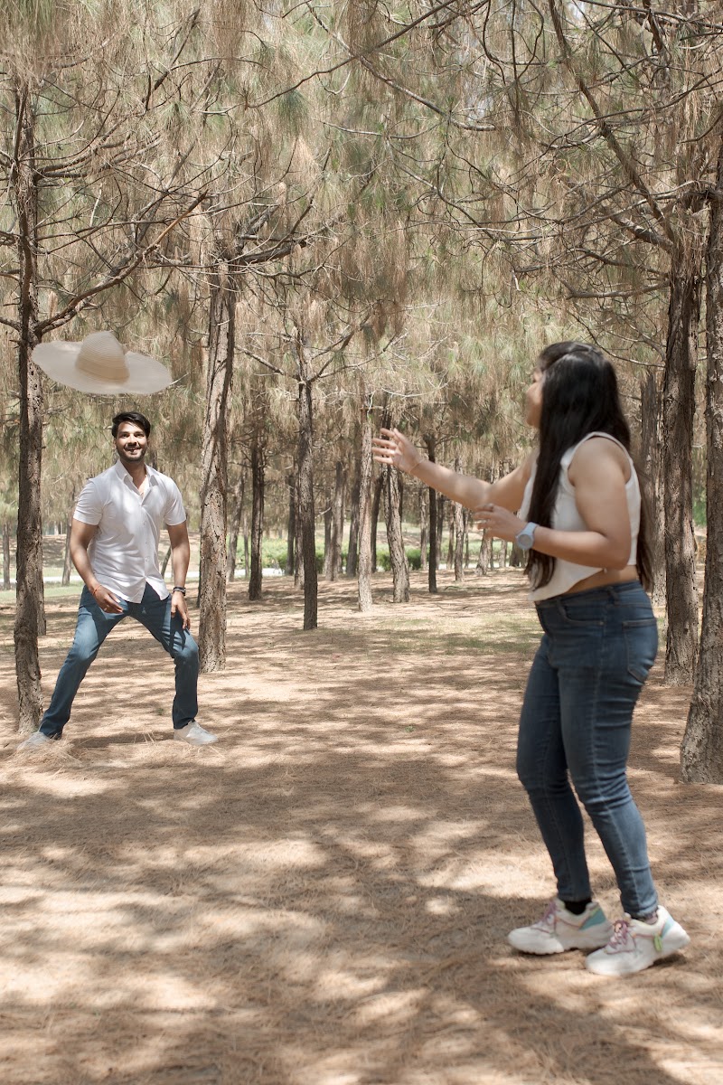 Anchal × Abishek — frame 16