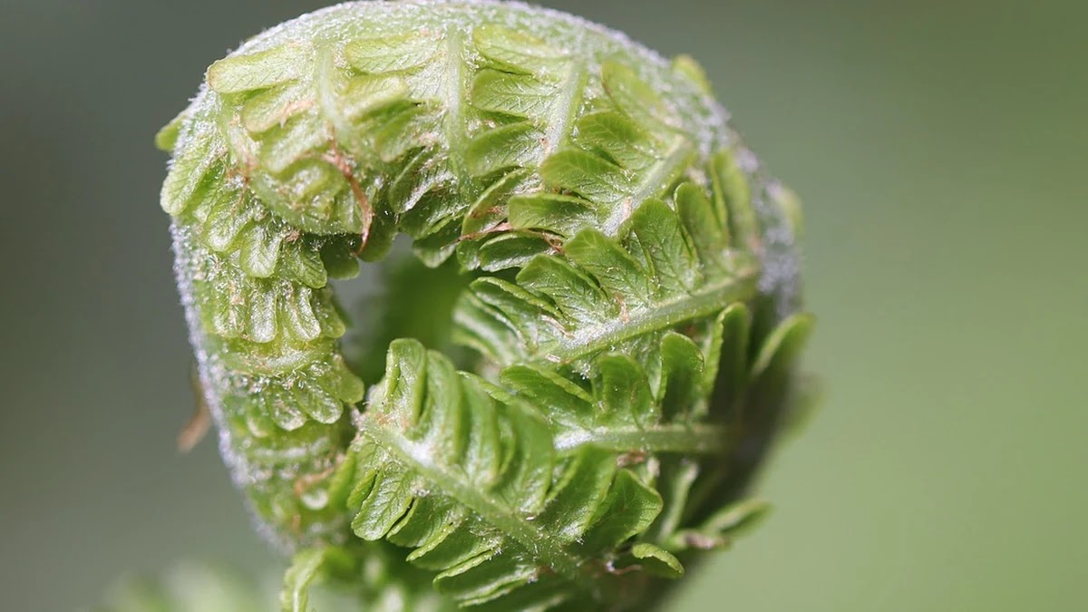 미드저니 프롬프트 작성법과 스타일별 생성 팁