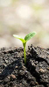 Glowing Purple Neon Hexagon Grid Pattern