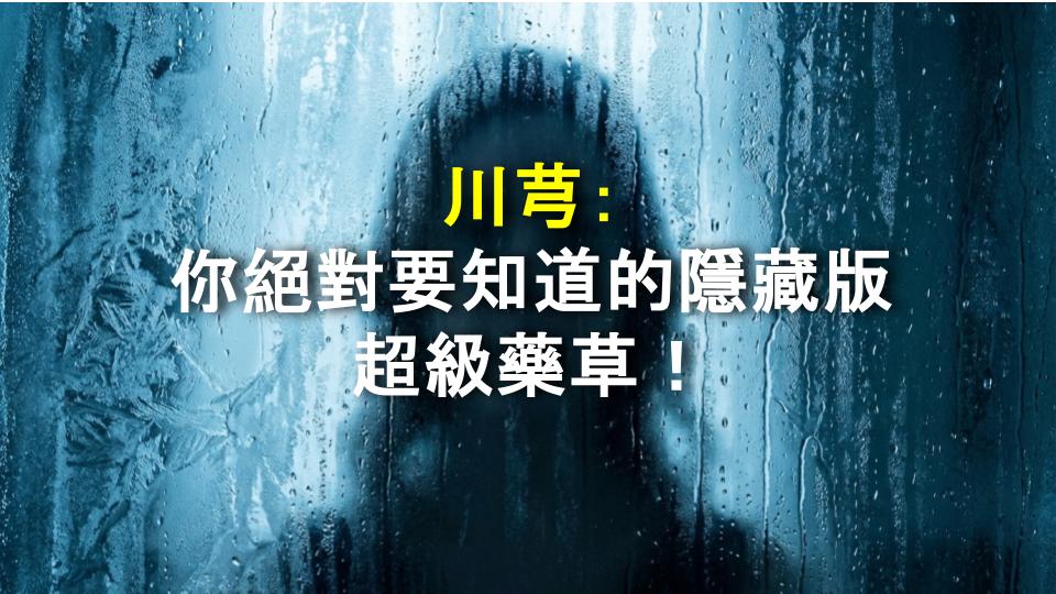 川芎：你絕對要知道的隱藏版超級藥草！