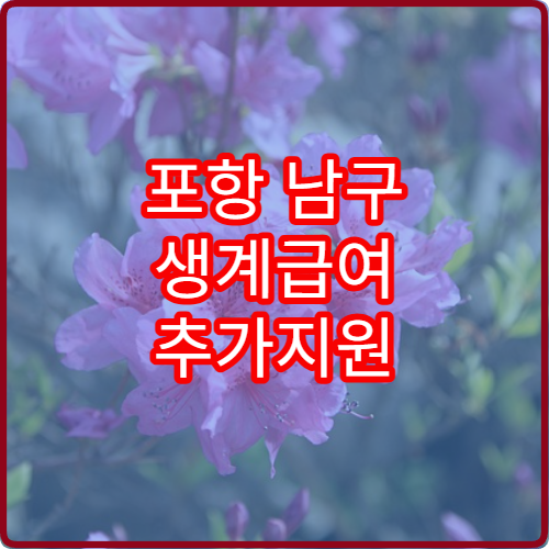 포항 남구 생계급여 추가지원 65세 2026 신청 방법