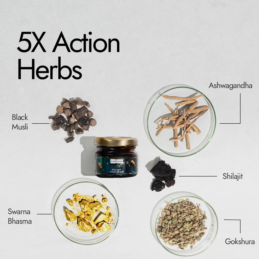 Kapiva Shilajit Gold Resin