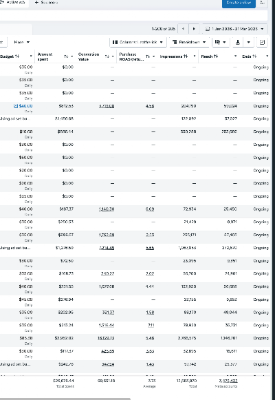 Meta ads results