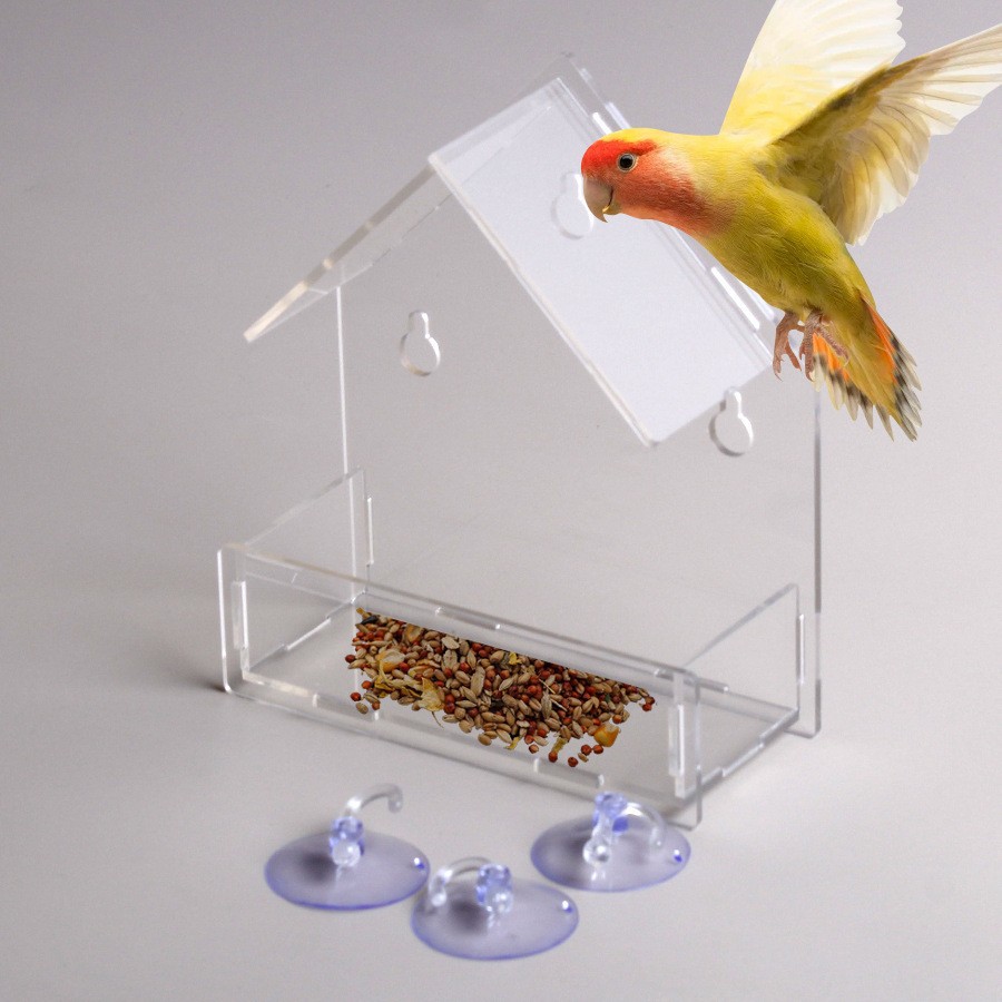 Transparenter Acryl-Vogel-Futterspender mit Saugnapf