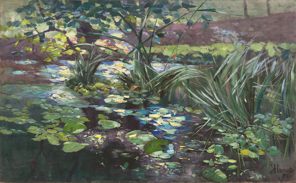 Teich in der Mark mit Seerosen und Schilfhalmen 1907