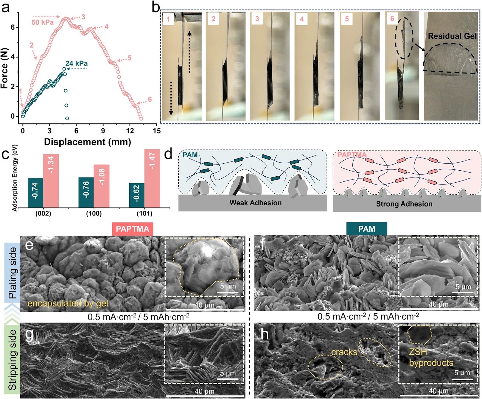 Water-Restrained Hydrogel Electrolytes with Repulsion-Driven Cationic Express Pathways for Durable Zinc-Ion Batteries