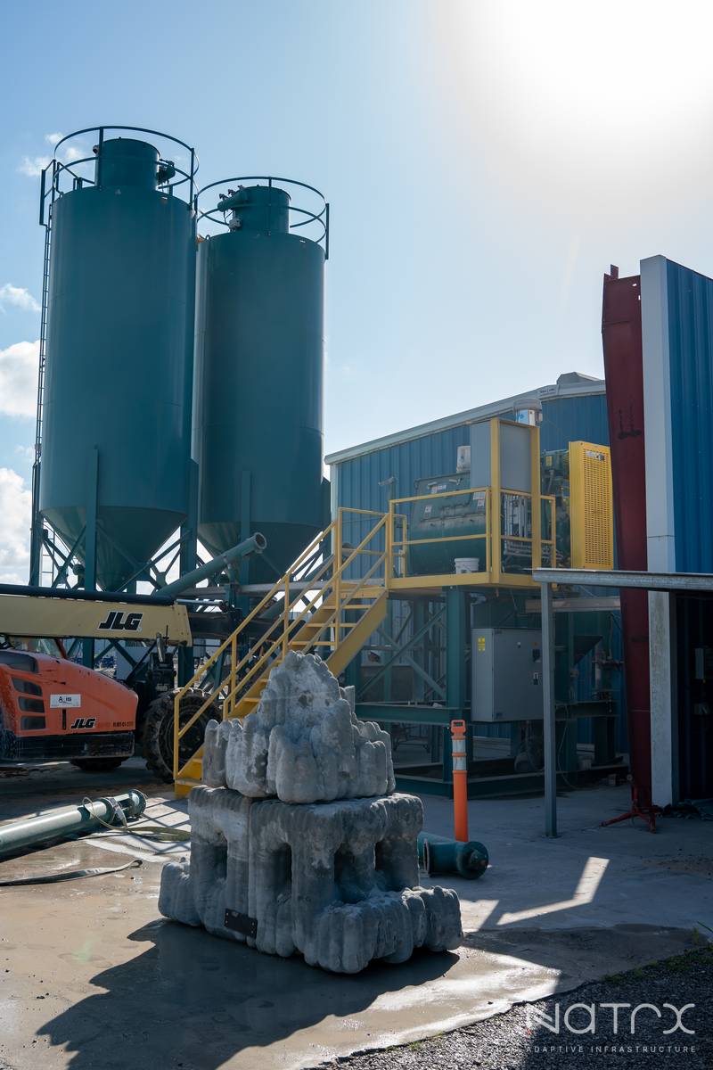 07.09.25 - Amelia-3.jpg