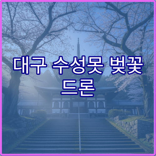 대구 수성못 벚꽃 드론 촬영 허용 구역과 사전 신청 절차 팁