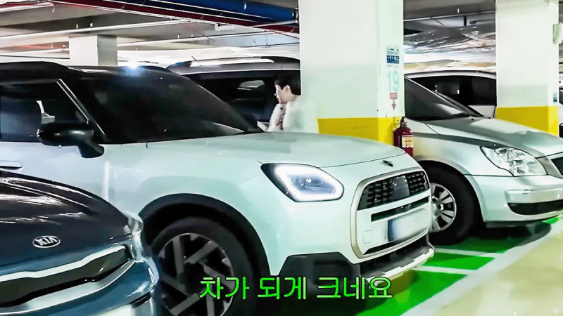 출처: 온라인 커뮤니티