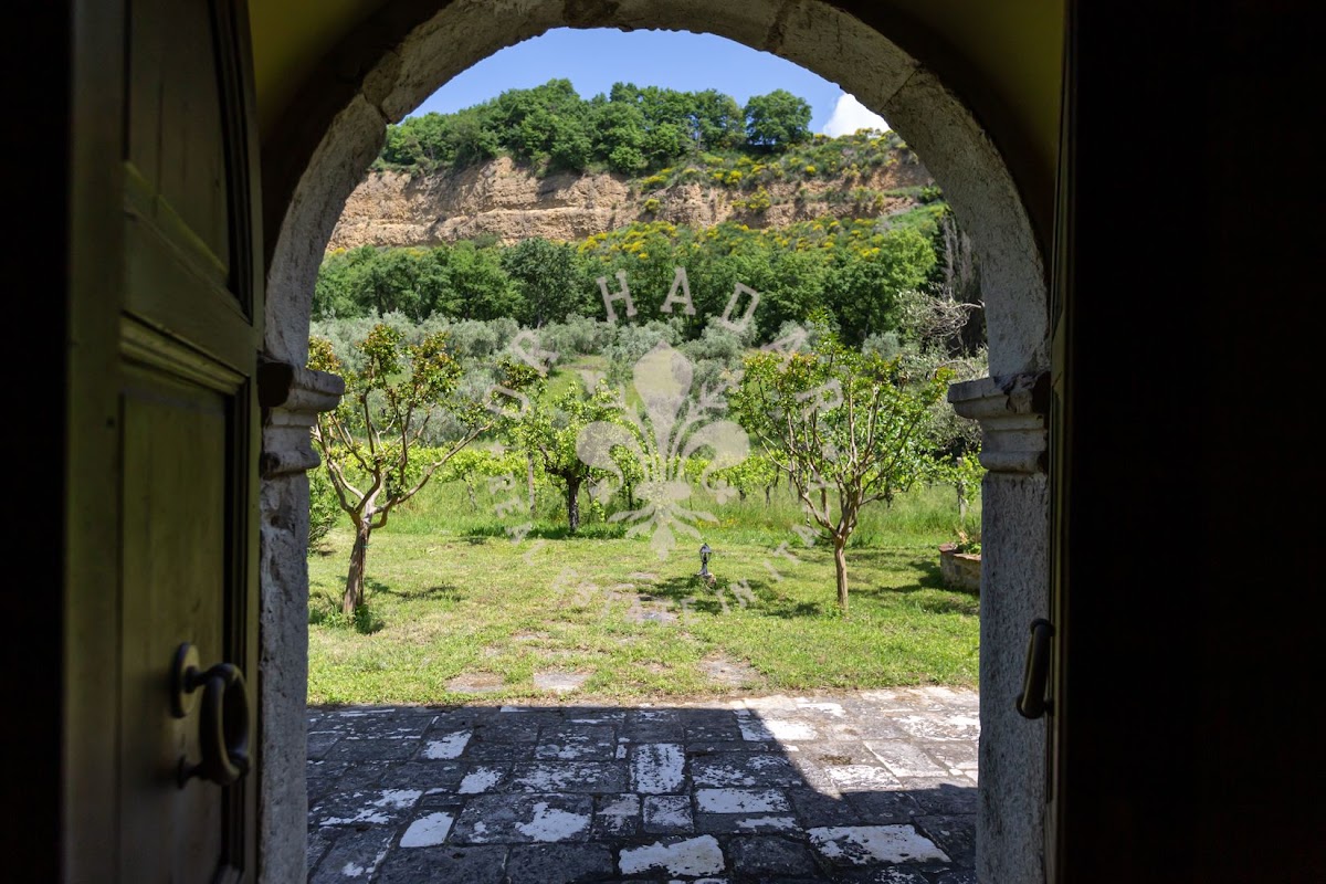הבית מאחורי הגבעה (Il Casale dietro la Collina) — 16