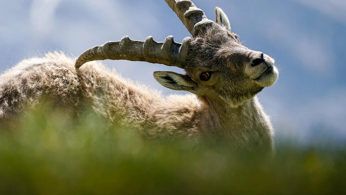 존중이라는 단어의 어원과 시대별 사회적 의미 변화