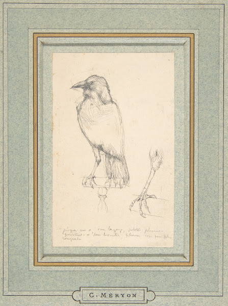 A Raven Perched on a Rail
