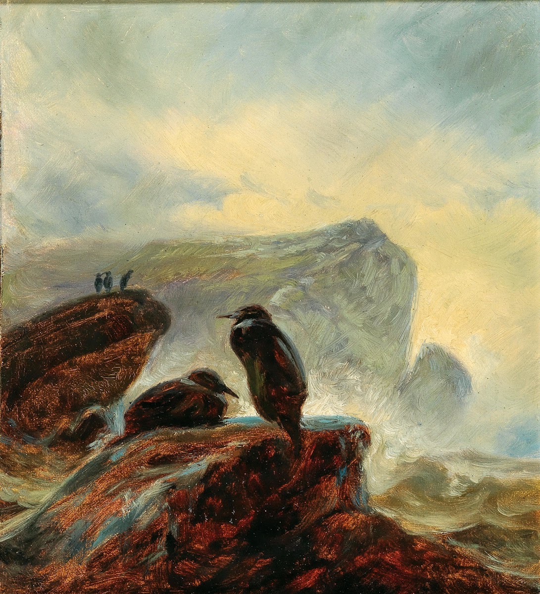 A Landscape with Cormorants on a Rock