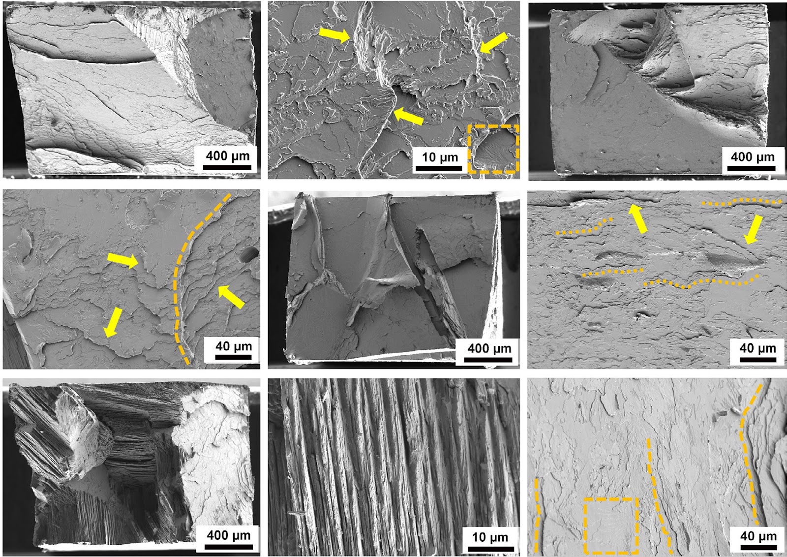 Microstructural evolution and mechanical properties of Ti43Al alloy by directional annealing