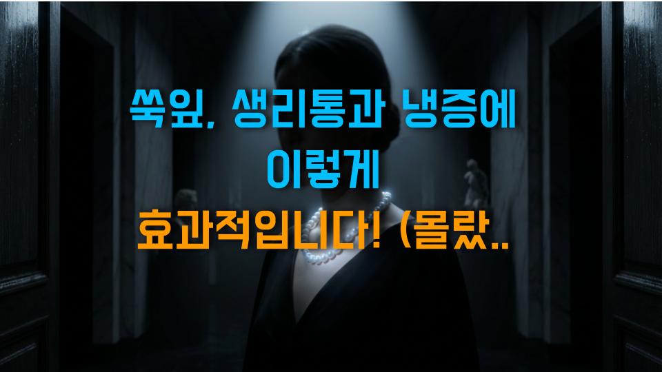 쑥잎, 생리통과 냉증에 이렇게 효과적입니다! (몰랐던 팩트)