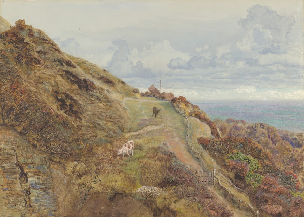 Bonchurch Downs 1865