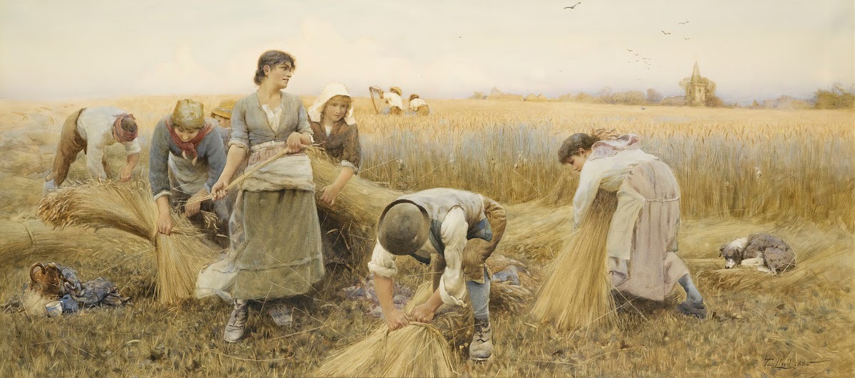 The Golden Grain 1885