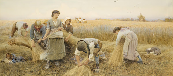 The Golden Grain 1885