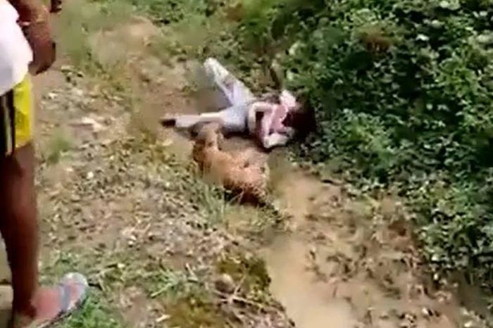 Tiếp cận báo hoa mai bị thương để chụp ảnh, người đàn ông suýt trả giá bằng mạng sống - Tạp chí Doanh Nghiệp Việt Nam