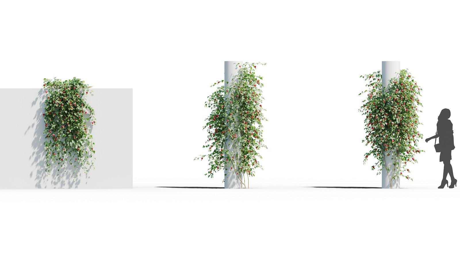 Maxtree - Plant Models Vol.37