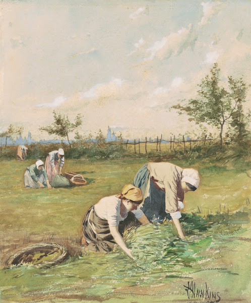 Gleaners In The Field c 1880
