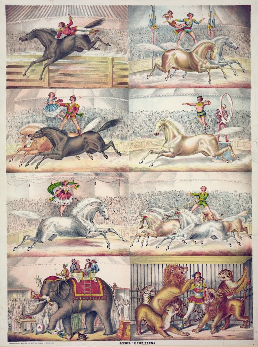 Scenes in the arena 1873