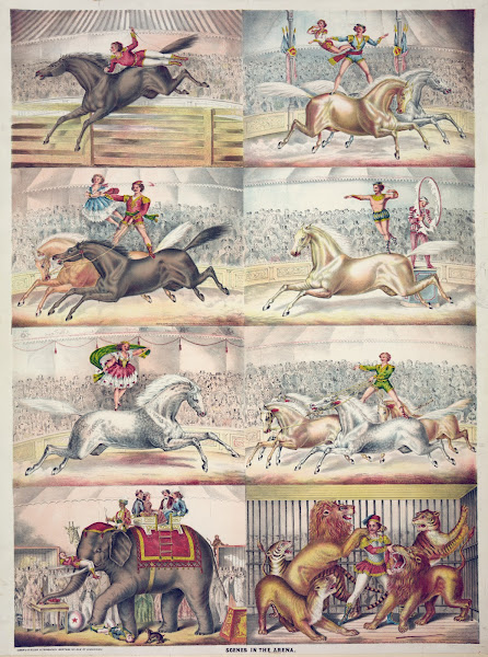 Scenes in the arena 1873