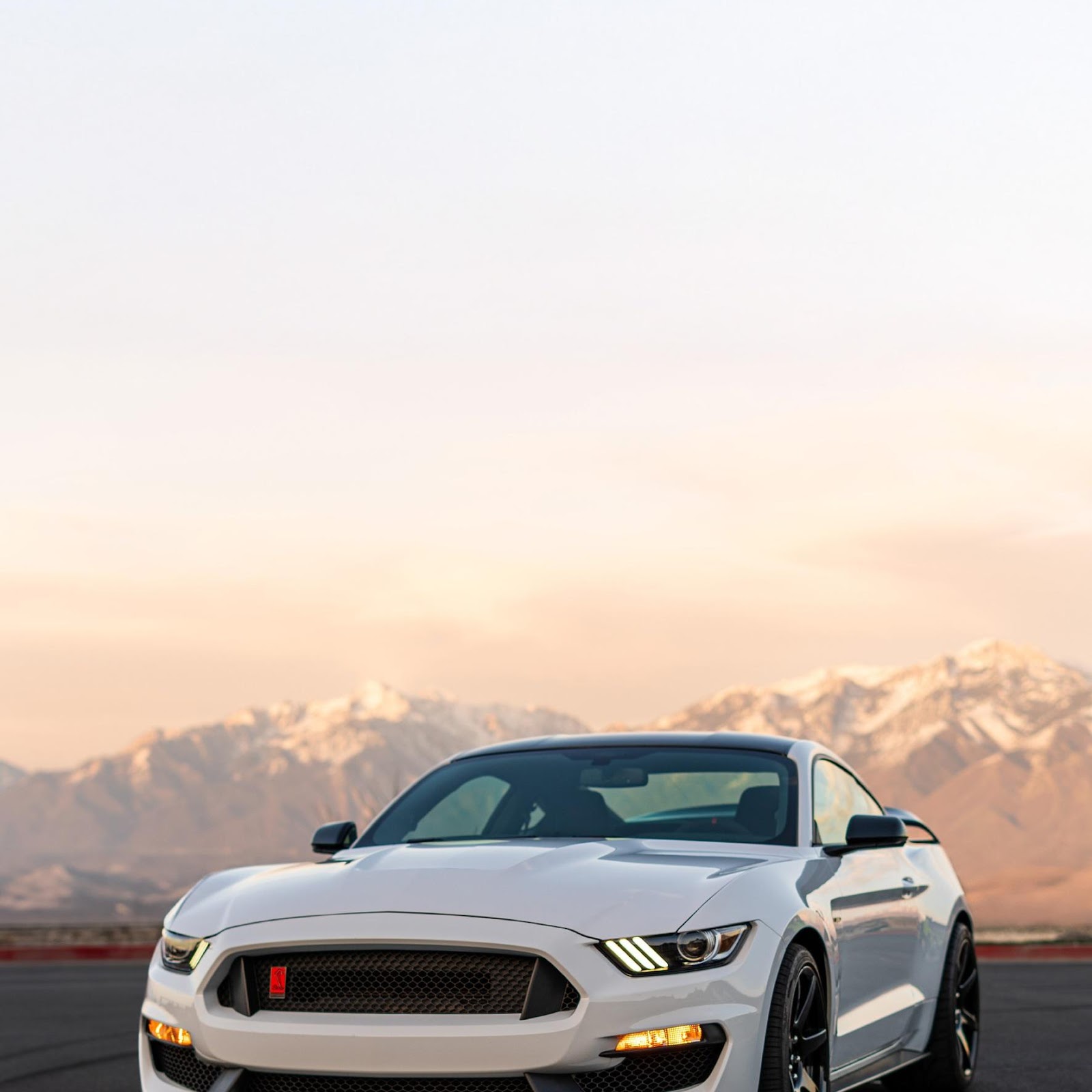 Download White Ford Mustang Shelby GT350 2K iPhone