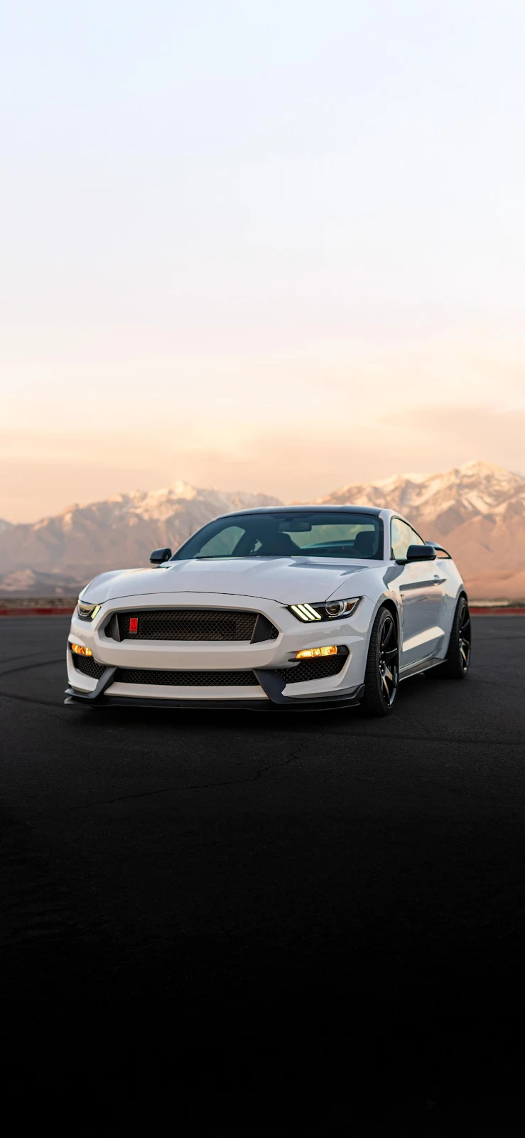 White Ford Mustang Shelby GT350 - Automotive Photography 2K iPhone Wallpaper (1772x3839)