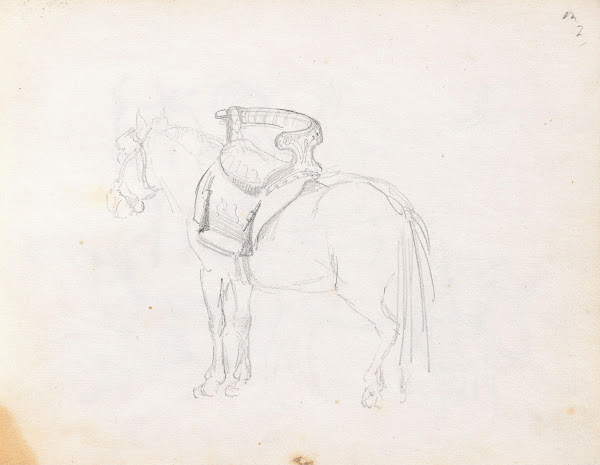 Hest med tverrsal 1848