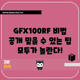 gfx100rf 추천, GFX100RF 사용법, GFX100RF 어떤가, 왜 GFX100RF인가, GFX100RF 기법