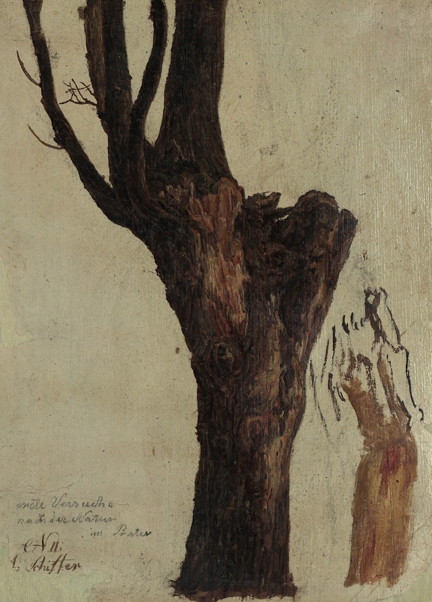 Baumstudie im Prater 1833