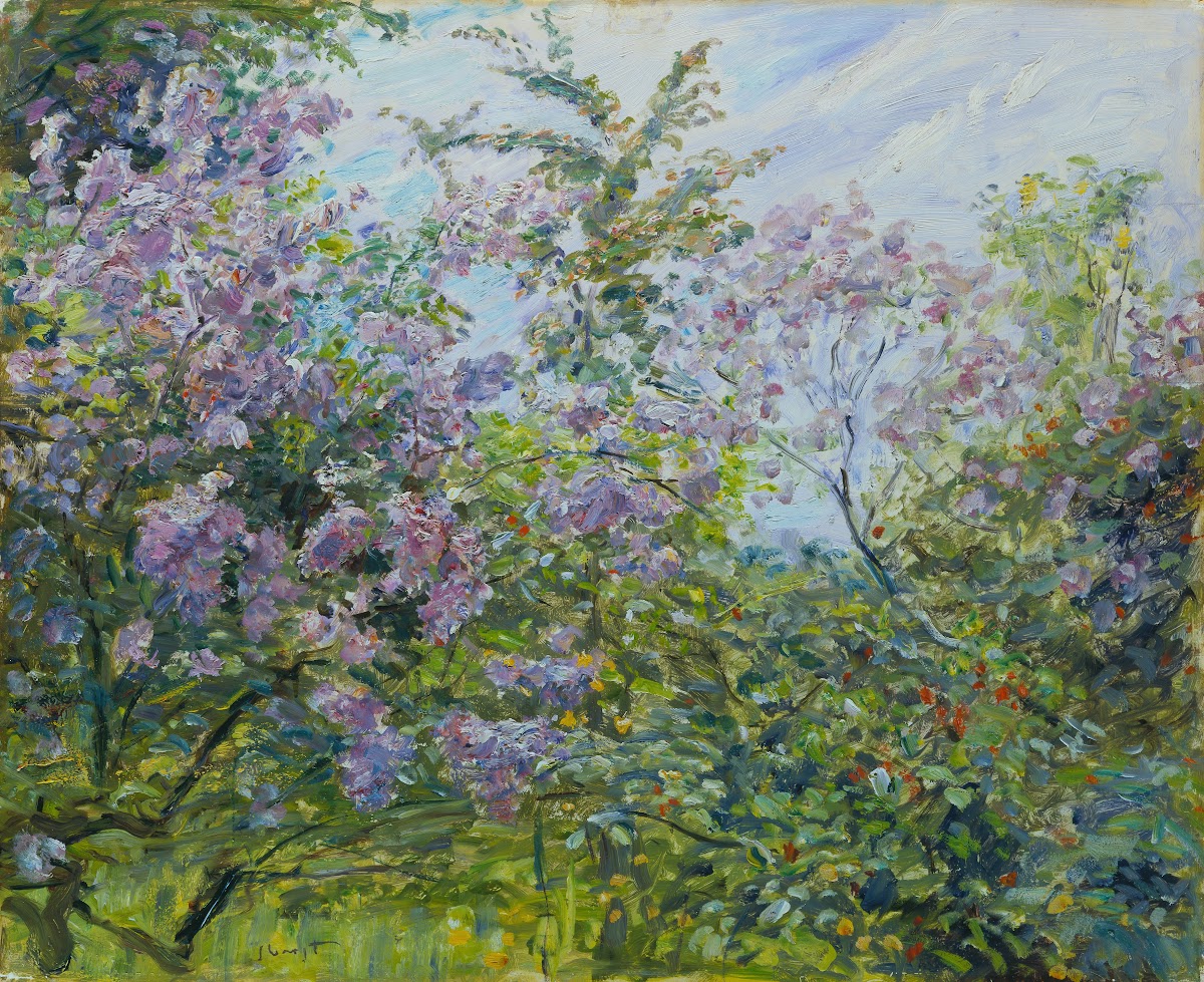 Blossoming Lilac ca 1921