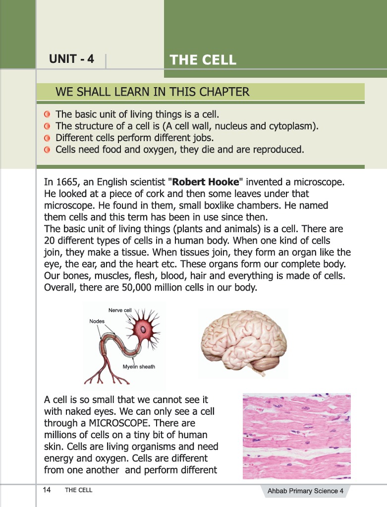 Science Book 4