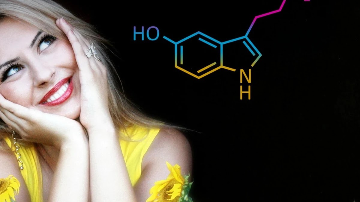 혈당 조절에 영향을 미치는 인슐린 분비 구조와 작용 원리