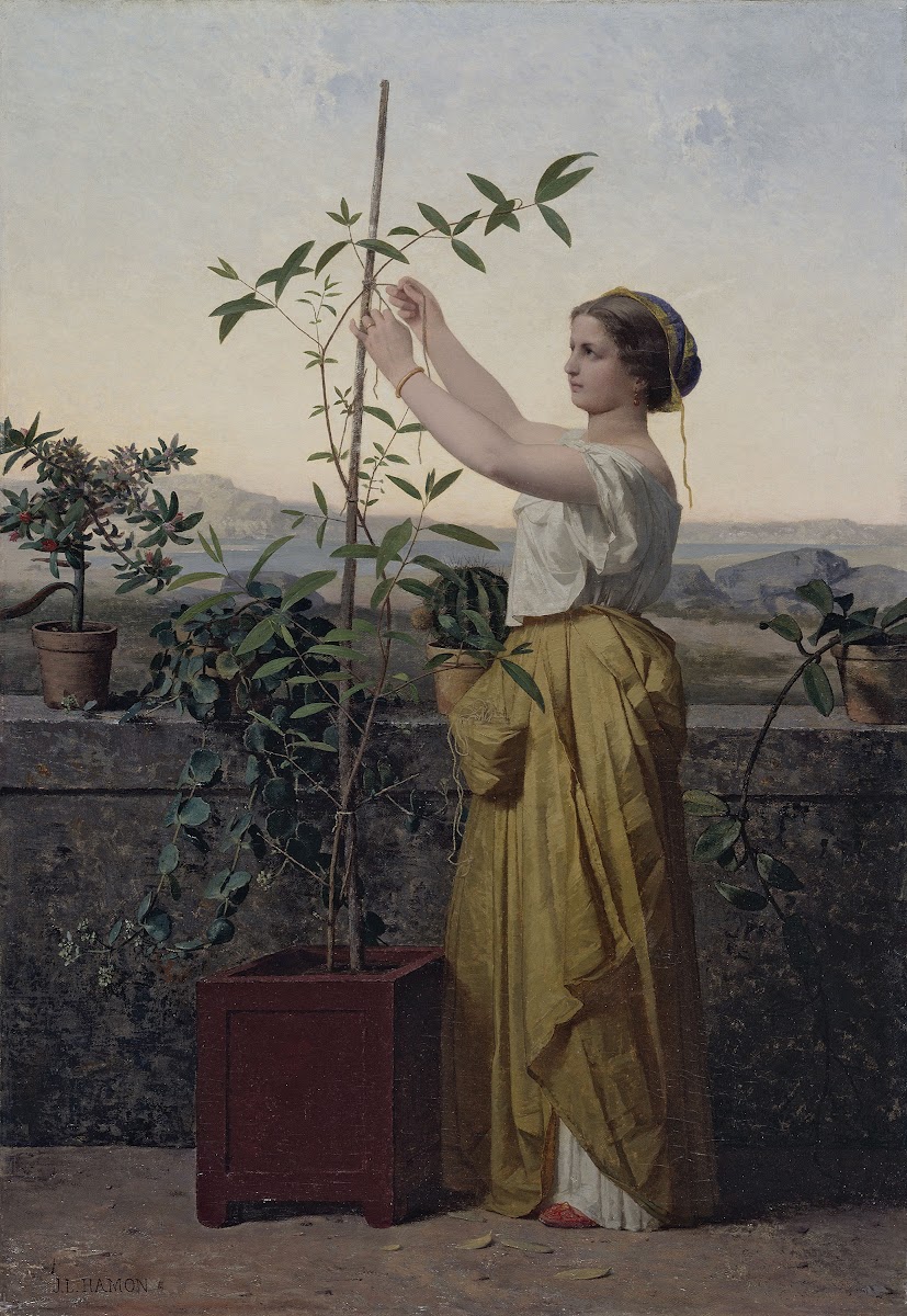 Tutelle 1861