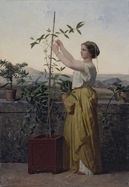 Tutelle 1861