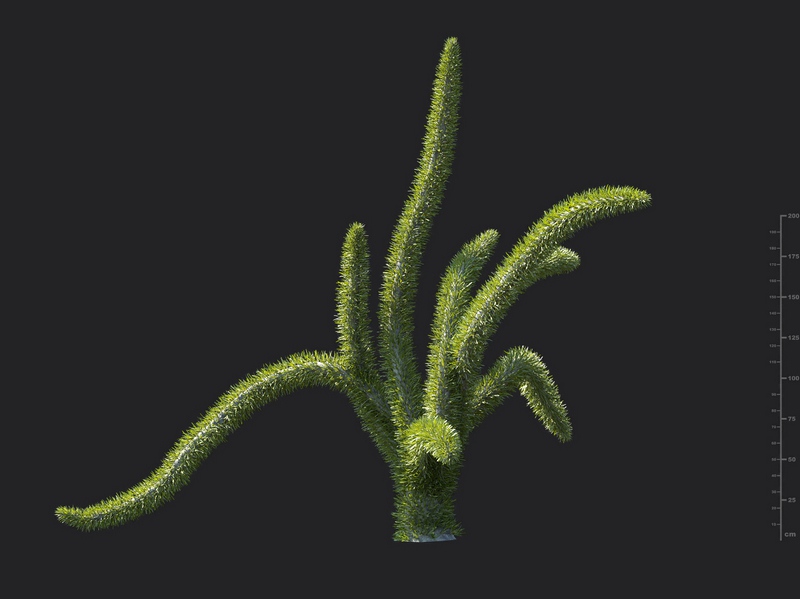 Maxtree - Plant Models Vol.130