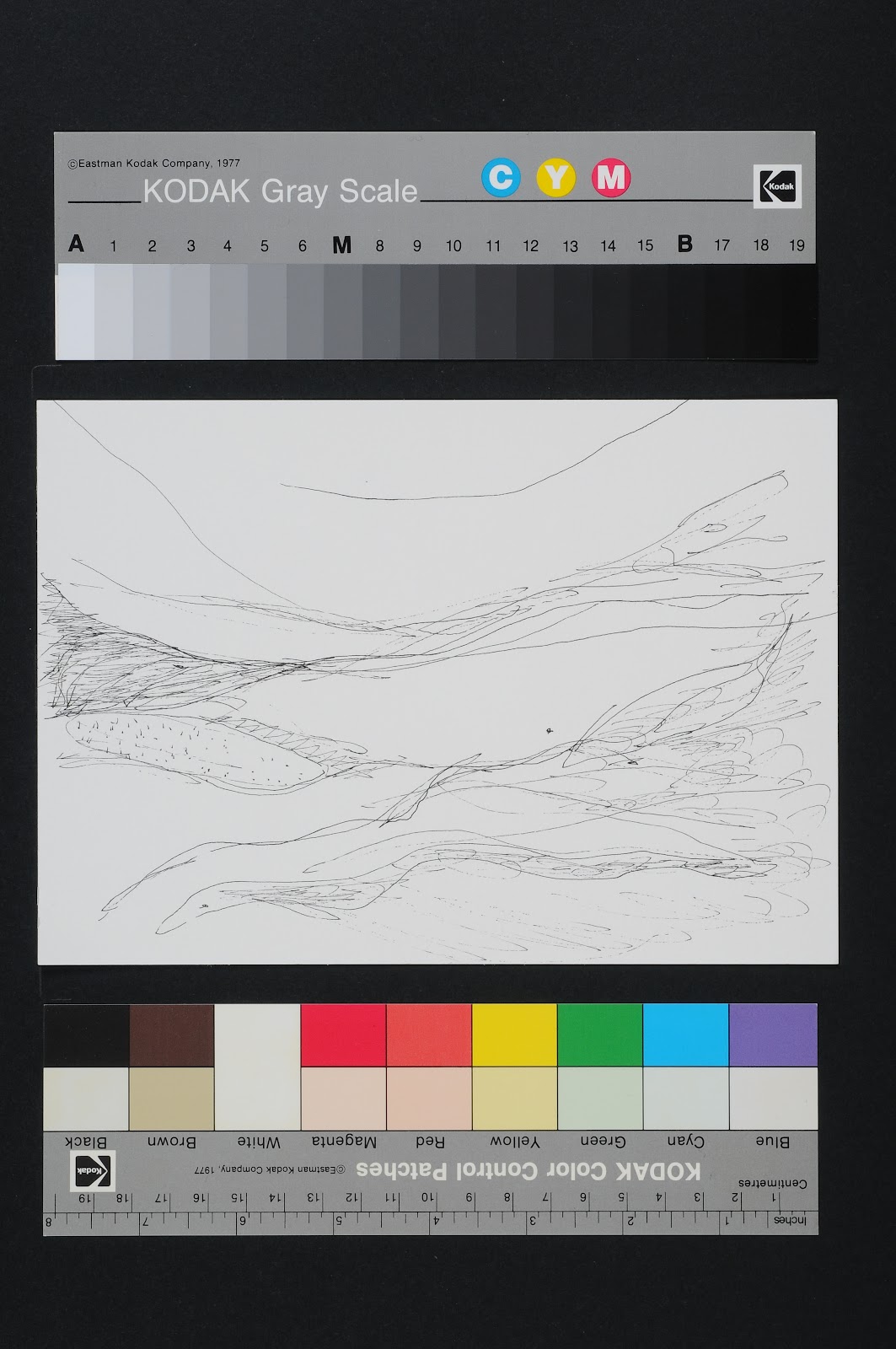Drawn Poems