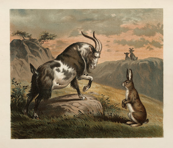 Ballad of the lost hare Pl04 1882