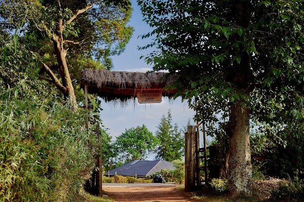 Bwindi frame 3