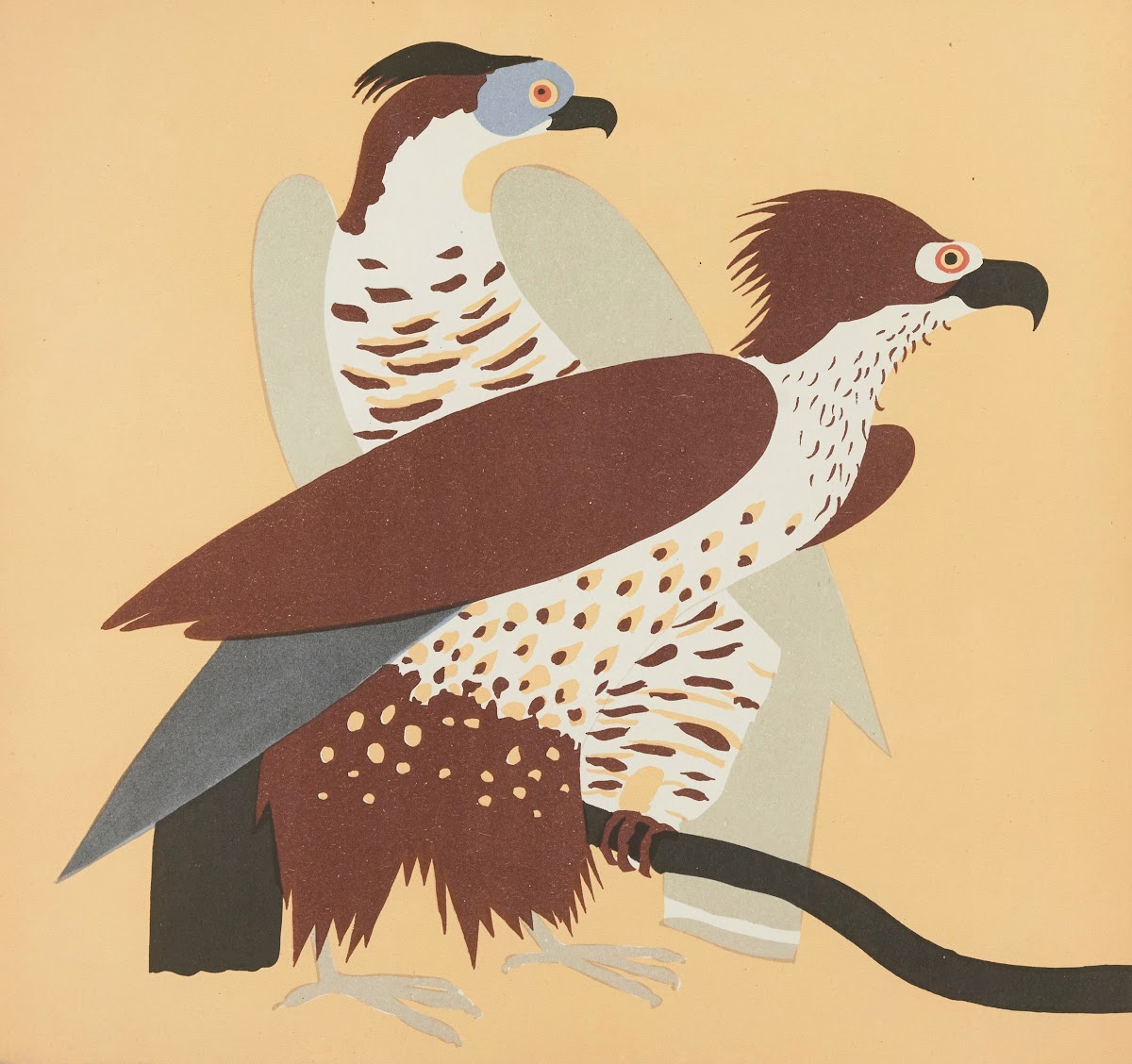 Nouvelles images à colorier Des Oiseaux Pl15 1935