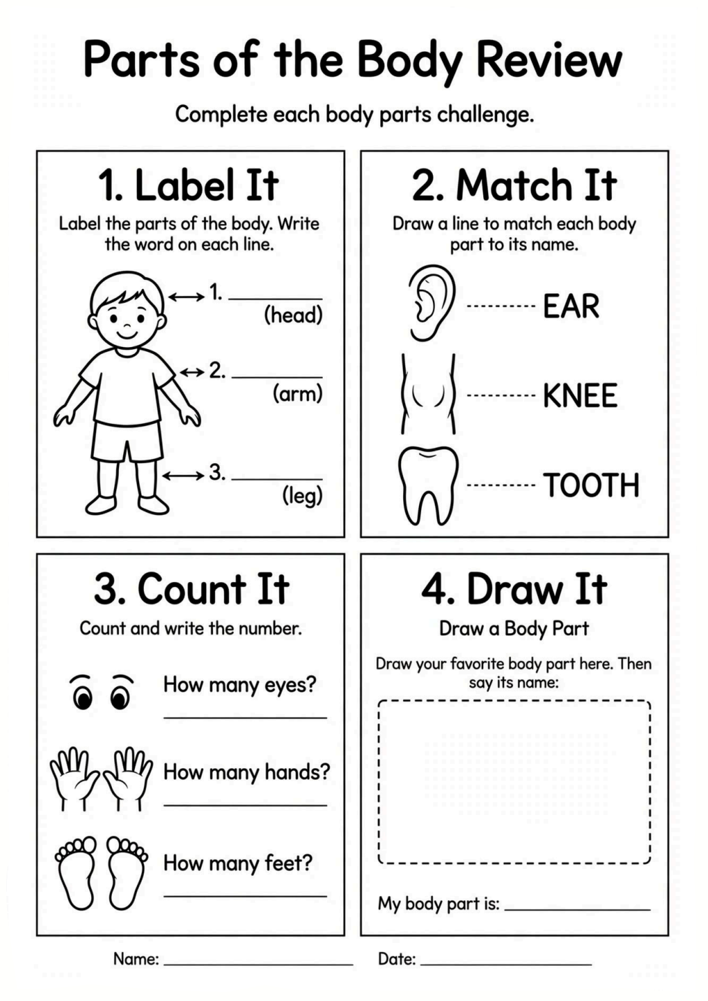 Parts of the Body Review