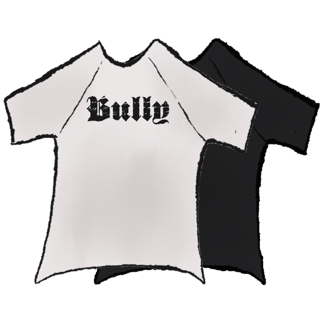 Yeezy TS-02 (BULLY) product image