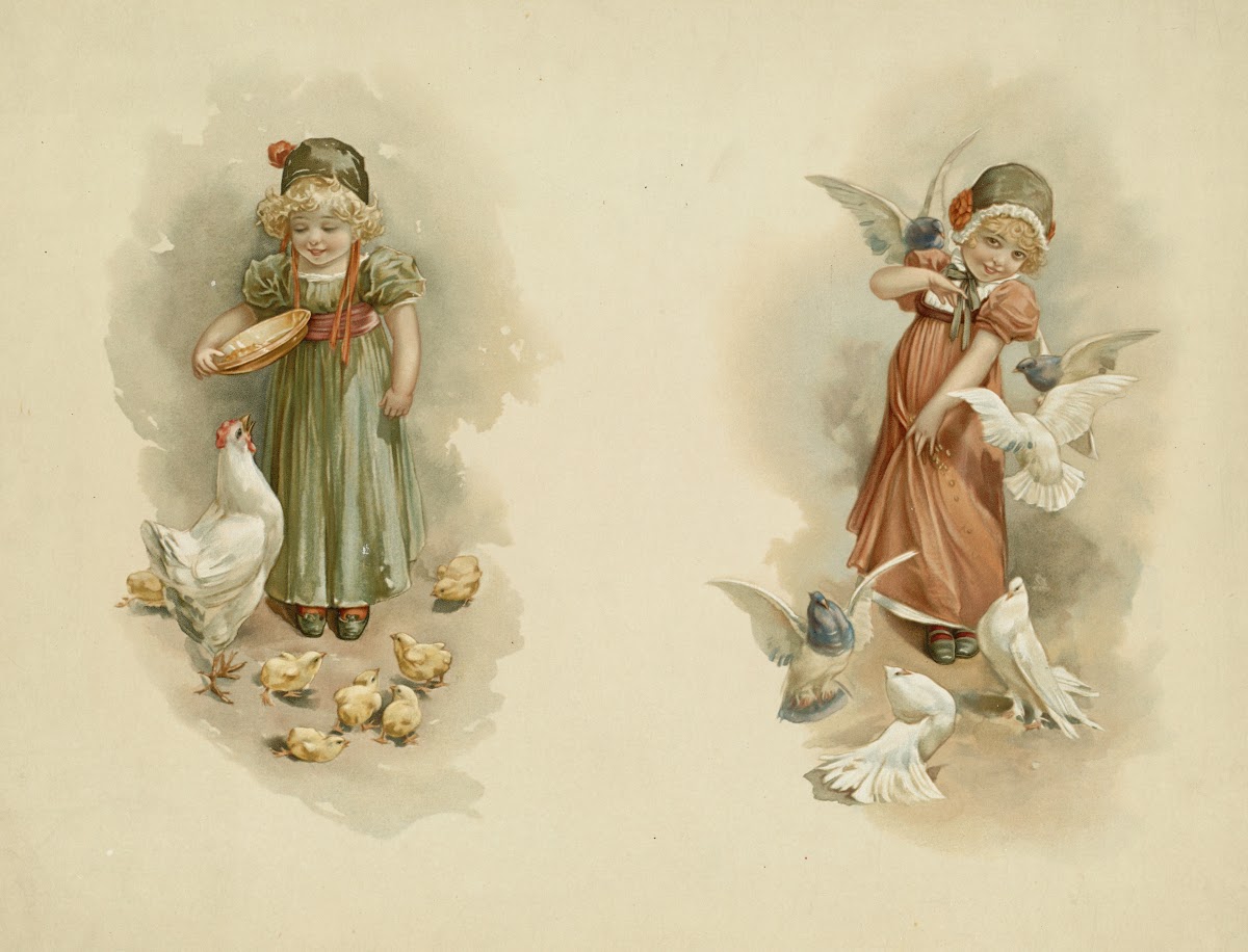 Girl Feeding Birds 18611897