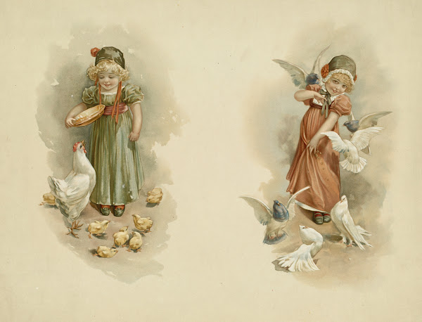 Girl Feeding Birds 18611897