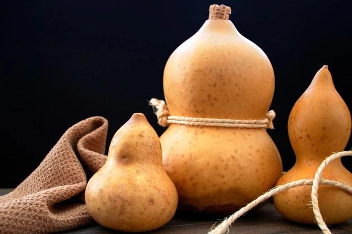 Quả bầu - từ món ăn dân dã đến vật phẩm cổ xưa của nhân loại - Báo Tri thức &amp; Cuộc sống