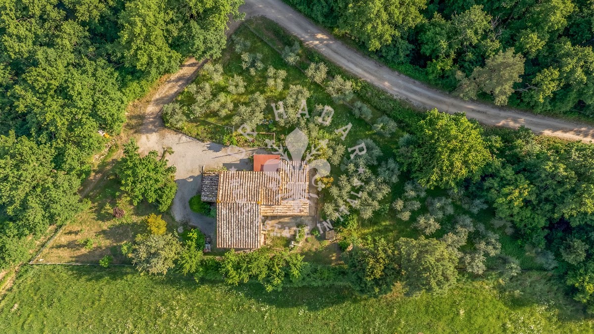 דימורה פוגיו דל טרסימנו (Dimora Poggio del Trasimeno) — 7