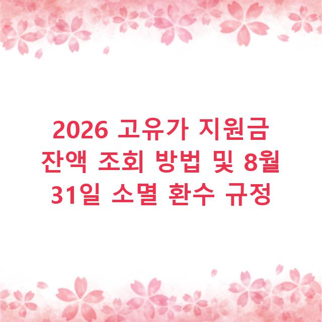 2026 고유가 지원금 잔액 조회 방법 및 8월 31일 소멸 환수 규정